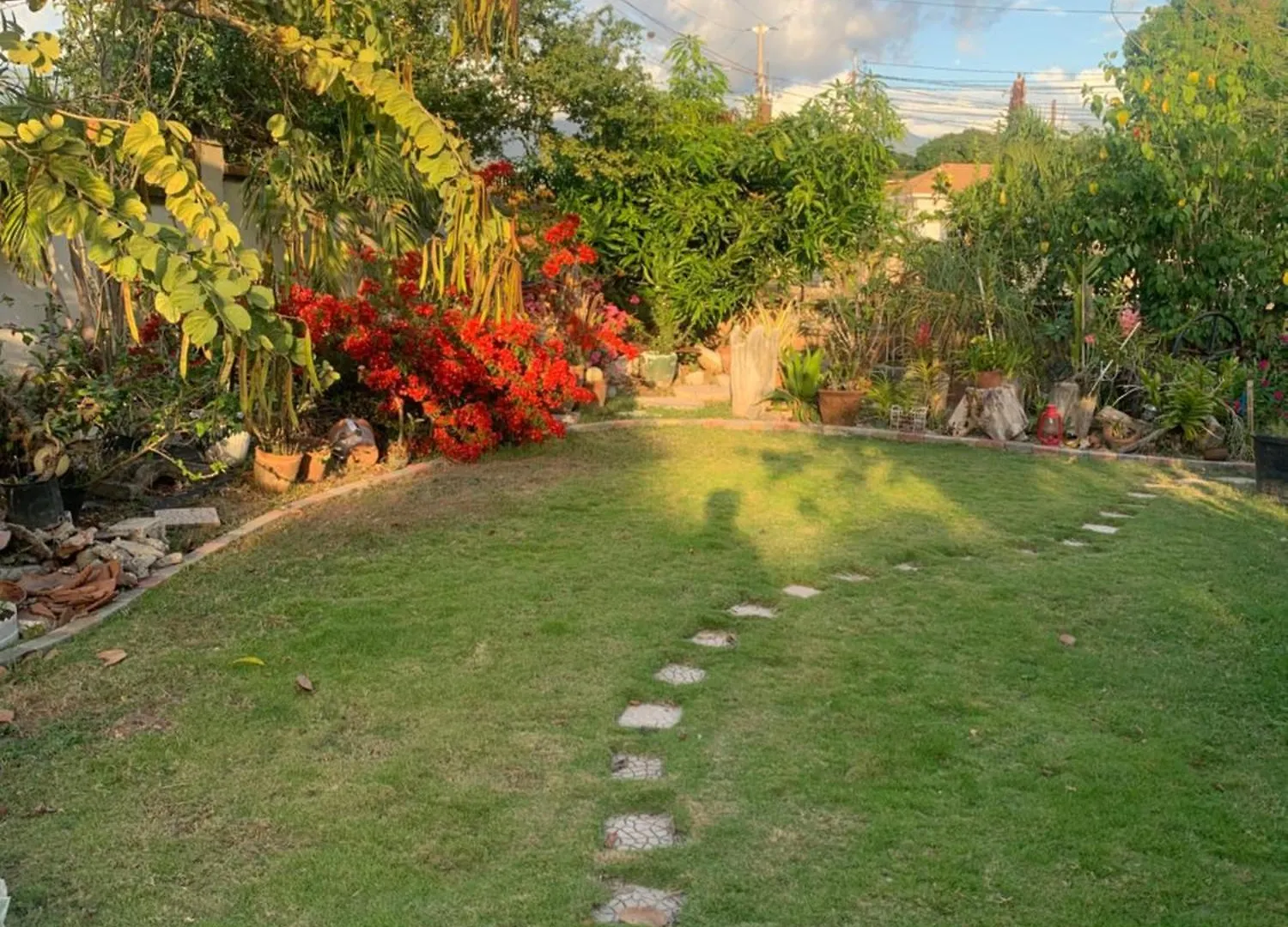 Home Away From Home Kingston Jamaica
